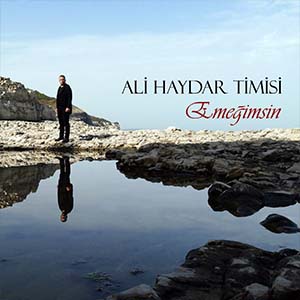 Ali Haydar Timisi